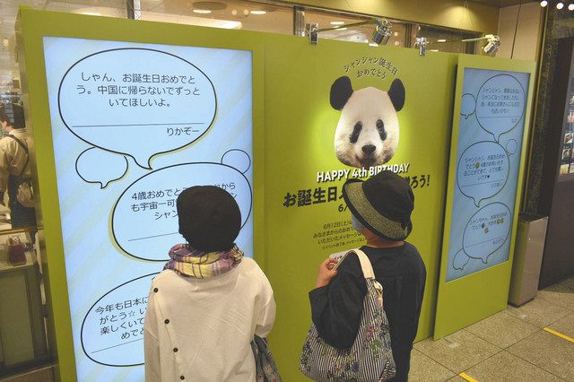 シャンシャン 12日で4歳に 上野動物園がウェブで記念企画 松坂屋上野店はメッセージ募集 東京新聞 Tokyo Web