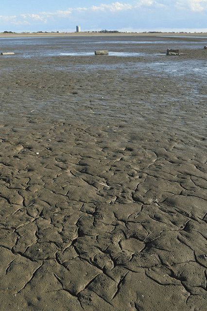 水が抜かれ露出した谷中湖の湖底＝栃木県栃木市で