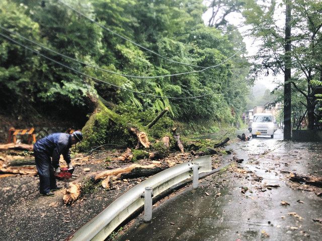 木が倒れ、通行止めになった県道＝熱海市内で 