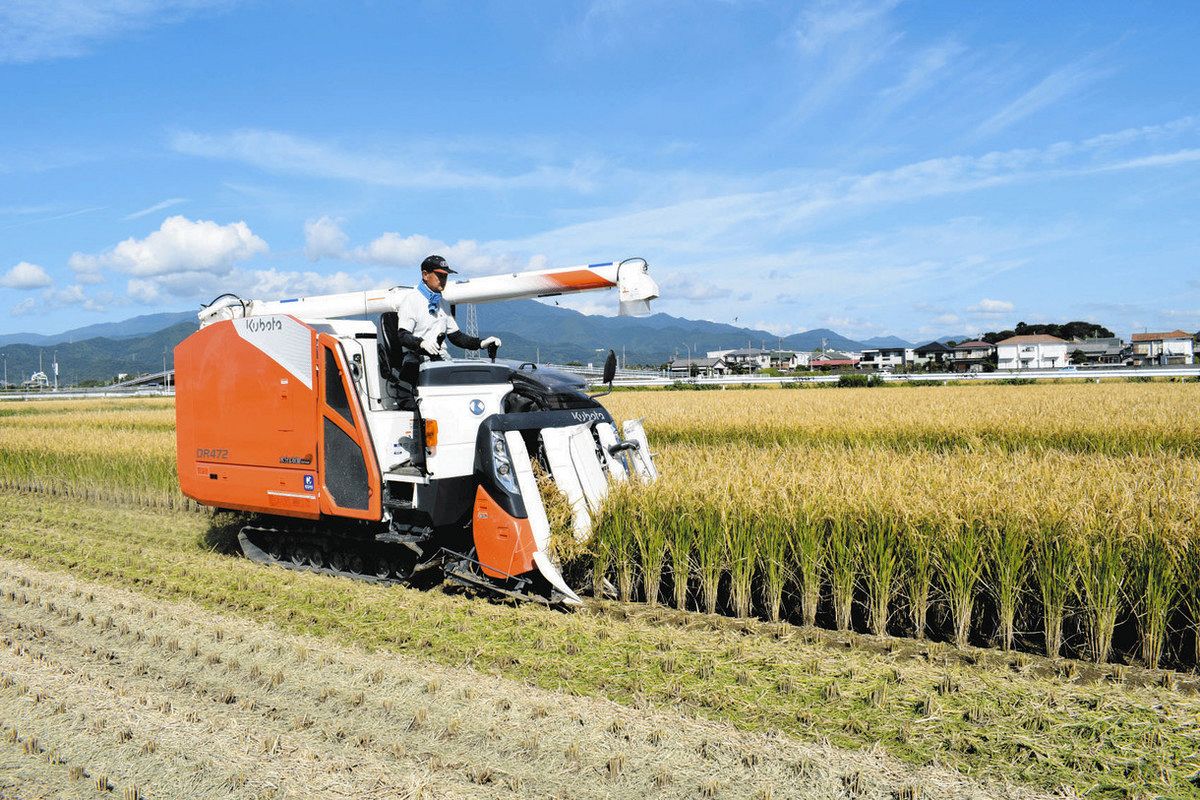 新米「はるみ」高値の秋 平塚のブランド、収穫最終盤 JA湘南 安定供給