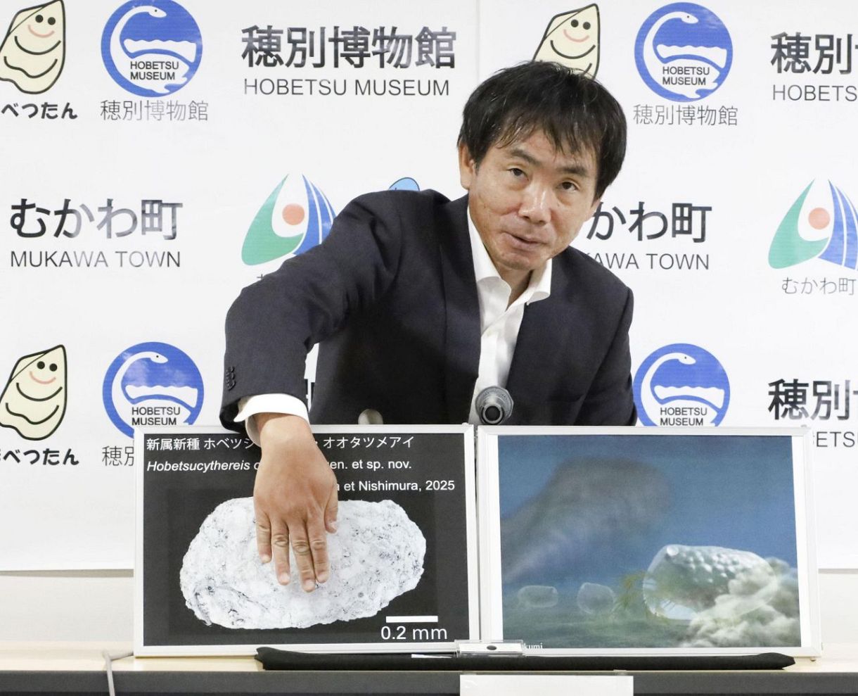 甲殻類6新種の化石発見、北海道 恐竜時代の豊かな海裏付け：東京新聞
