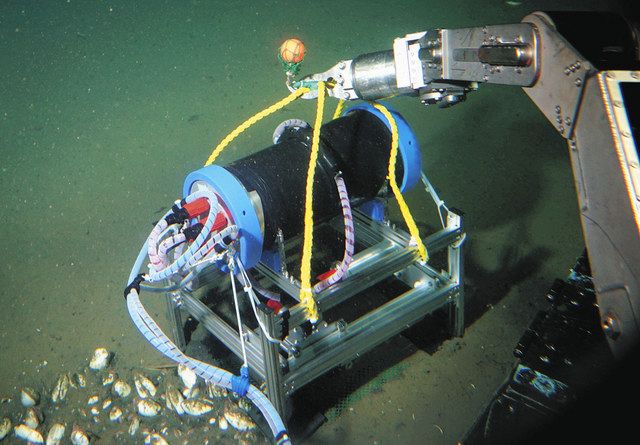 【SALE／55%OFF】 フロンティア発＞海底に埋もれた生物探せ：東京新聞デジタル 自然科学と技術