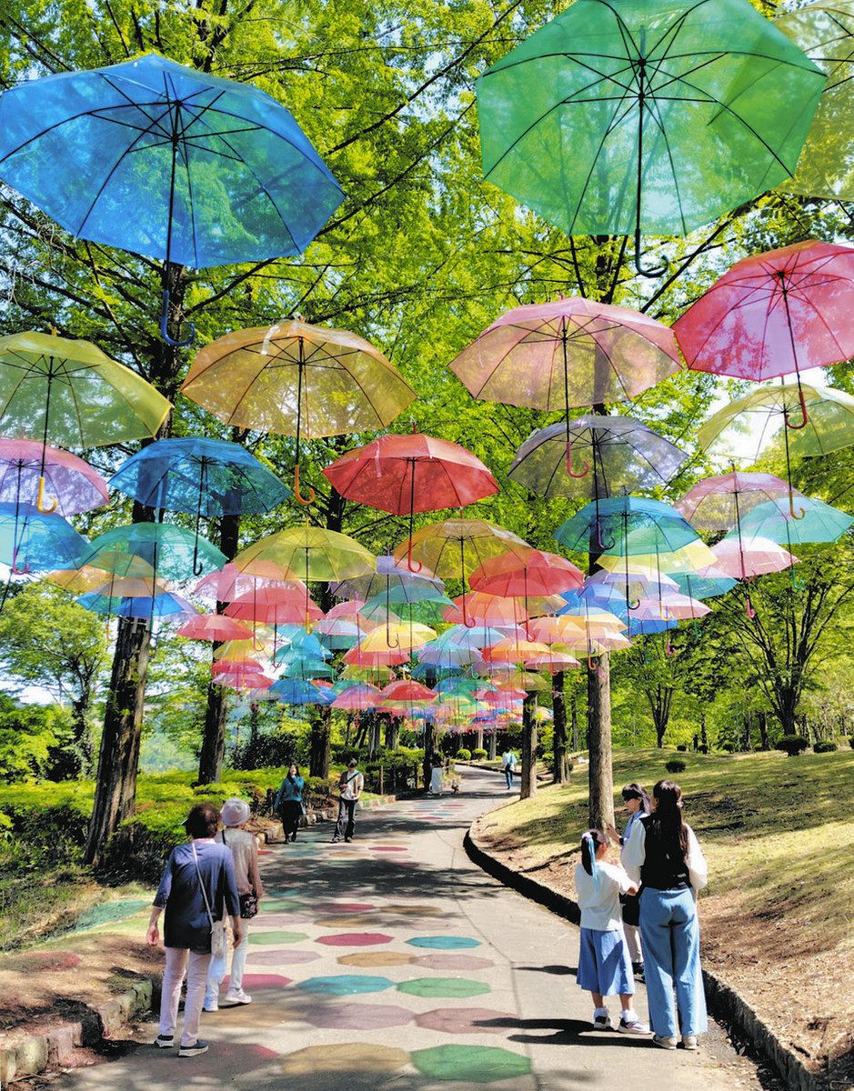 甘楽総合公園 遊歩道96メートルに480本 鮮やか傘 初夏の空彩る 地面に