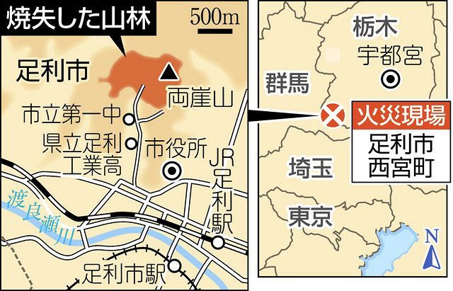 焼け木で炭染め 足利 山火事からの復興願い 東京新聞 Tokyo Web