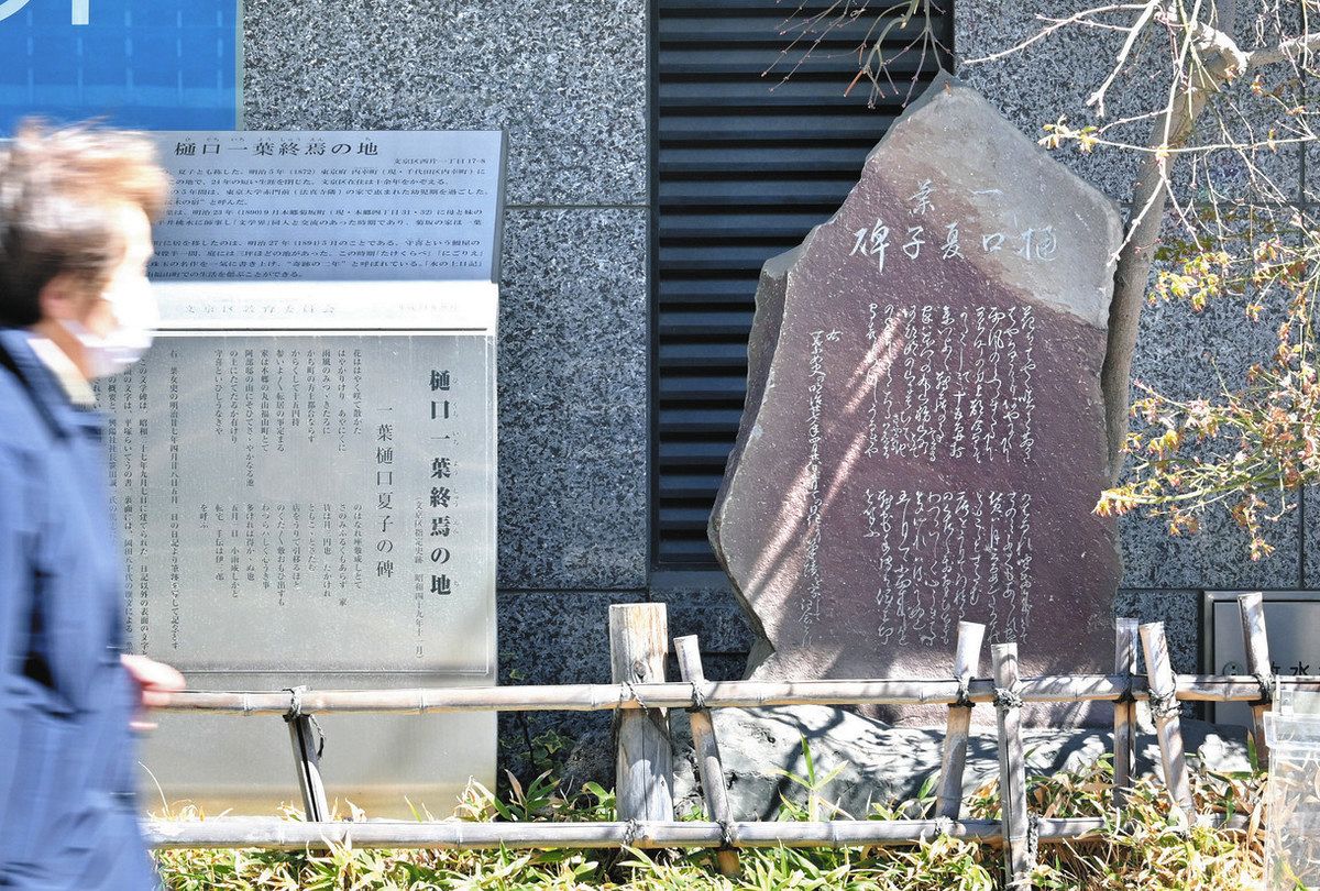 樋口彩 樋口一葉 大いなる桜木 わが家恋し：東京新聞デジタル