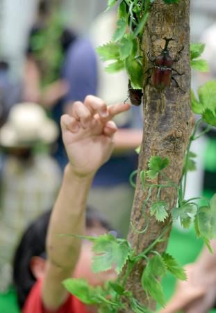 ぐるり東京 東京新聞 Tokyo Web