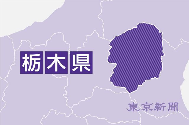 Ժxľ2025礦ʾF4ˤ