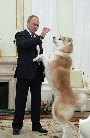 &atilde;&ccedil;&not;&egrave;&ordf;&atilde;&atilde;&atilde;&frac14;&atilde;&atilde;&sup3;&aring;&curren;&sect;&ccedil;&micro;&plusmn;&eacute;&nbsp;&atilde;&reg;&ccedil;&sect;&ccedil;&deg;&ccedil;&not;&aelig;&shy;&raquo;&atilde;&not;&atilde;&ccedil;&atilde;&egrave;&acute;&aring;&atilde;&reg;&atilde;&atilde;&atilde;&atilde;&atilde;&aelig;&uml;&aring;&sup1;&acute;&eacute;&laquo;&eacute;&frac12;&cent;&atilde;&sect;