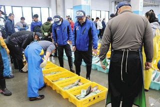 試験操業で捕れた魚介類を真剣に品定めする仲買人ら＝福島県の相馬原釜地方卸売市場で
