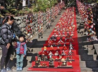 １１８段のひな壇飾りで魅了　今年は「単独日本一」稲取・素盞嗚神社