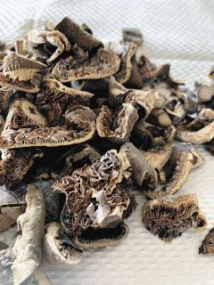 吉田克朗展―ものに、風景に、世界に触れる＞（上）Cut-off（Hang