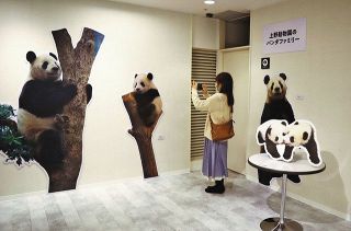 上野動物園のパンダ一家のほぼ等身大パネルが並んだ写真展＝いずれも台東区上野の松坂屋上野店で
