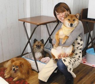 「温もりカフェ」保護犬と結ぶ　開店半年、初の巣立ち