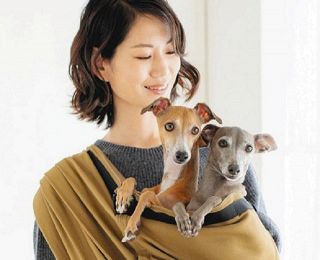 愛犬抱いての避難に便利「ドッグスリング」　開発者・黄瀬知美さん、熊本地震被災者らの声受け改良