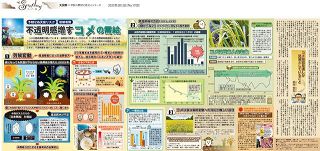 大図解：東京新聞デジタル