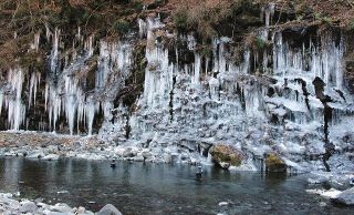 荒川沿いの崖に這うように形成された三十槌の氷柱＝７日撮影、秩父市大滝で