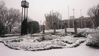 冬本番　花時計モノトーン　浦和区で積雪４センチ
