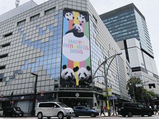 双子パンダとシャンシャン　上野で誕生日お祝いイベントが続々