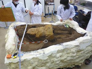 金井東裏遺跡から見つかった、よろいを着た成人男性の骨