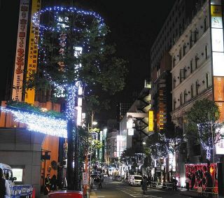 The roadside trees in Shinjuku are lit up