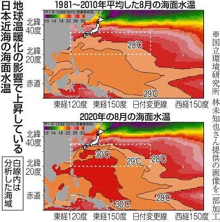 1000年に１度の高い海面水温　15年に１度の頻度に　日本の台風リスク高まる