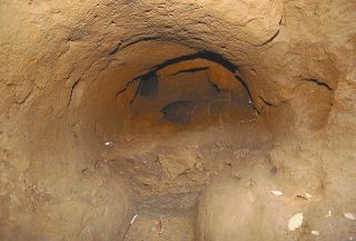 「中藤新田分水」の調査現場で発掘された「胎内堀」の一部。江戸末期に作られた水路で玉川上水から生活用水が流れていた＝いずれも国分寺市西町で