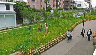 シモキタ線路街に緑モ来タ　住民主体の「園藝部」　街の植物守り育てる