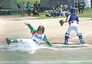 代表３枠懸け熱戦開幕　江戸川都知事杯学童野球