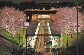 夜桜が彩る駅