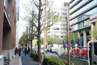 イチョウ並木伐採で住民敗訴が確定　千代田区の神田警察通り　最高裁、裁判官全員一致で上告退ける