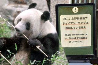 上野は今も「パンダファンの聖地」だった…不在になって半年、「いつかまた帰ってくるから」