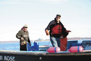 ポートランド沖で昨年１１月、昆布を養殖するスティーブ・トレインさん（右）。水揚げが減るロブスター漁との両立を目指す