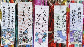 七夕の願い事をイラスト入り短冊に　台東・小野照崎神社で来月2、3日「夏夢詣」