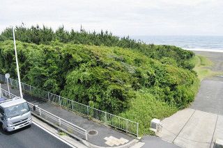 平塚・龍城ケ丘プール跡地の公園計画、樹林保全踏まえ見直し　着工さらに先送り