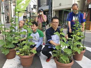 堀切ラッキー通り商店街でメロンを育てる岩崎修さん（右から２番目）ら