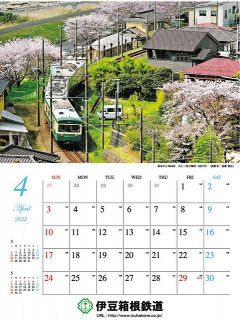 駿豆線大仁駅−牧之郷駅の桜並木を走る列車を採用した４月