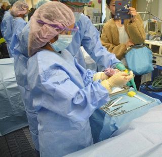 「ドクターＸみたい」小学生が手術疑似体験　太田高等看護学院で「フェア」