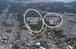 今ある自然、残したい　鎌倉「山崎・台峯緑地」が28日開園　市民と行政足並みそろえ、整備最小限