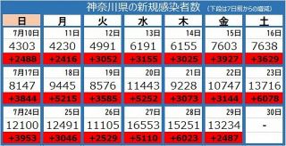 ＜新型コロナ＞神奈川県で1万3234人感染、9人死亡