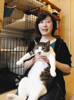 ＜ひと　ゆめ　みらい＞病気のネコ　居場所つくる　保護ネコ団体メンバー・伊藤綾子（いとう・あやこ）さん（47）＝あきる野市