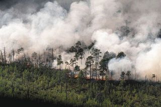 国際編 シベリアが暑い 山火事被害も 東京新聞 Tokyo Web