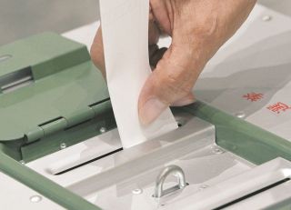 丹念に筆 命吹き込む：東京新聞デジタル