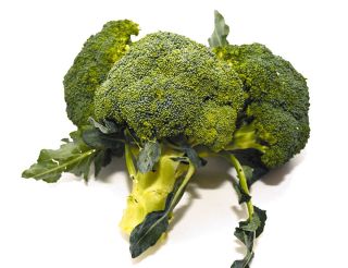 &atilde;&atilde;&shy;&atilde;&atilde;&sup3;&atilde;&ordf;&atilde;&frac14;&atilde;&egrave;&frac34;&sup2;&aelig;&deg;&acute;&ccedil;&atilde;&aelig;&aring;&reg;&eacute;&egrave;&atilde;&atilde;&laquo;&atilde;&ccedil;&ccedil;&pound;&egrave;&atilde;&uml;&auml;&frac34;&iexcl;&aelig;&nbsp;&frac14; &aring;&reg;&aring;&reg;&atilde;&reg;&aelig;&copy;&aelig;&micro;&atilde;&aring;&middot;&aring;&aring;&frac12;&ccedil;&pound;&aring;&atilde;&atilde;&sup3;&atilde;&sup1;&atilde;&eacute;&laquo;&atilde;&egrave;&ordf;&sup2;&eacute;&iexcl;