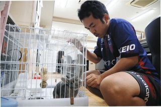 今年も暑かった…ところで学校で飼う動物は「屋外」で大丈夫？　変わりゆく飼育環境〈ニュースあなた発〉