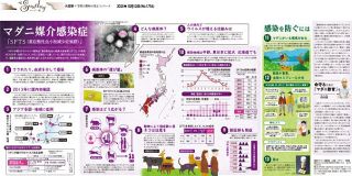 大図解：東京新聞デジタル