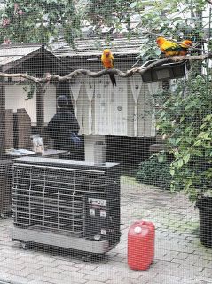 鳥と花に暖房費とえさ代を　富士宮・富士花鳥園が寄付募る　客足減で資金繰り苦しく