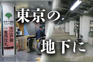 Taku観賞用　普通車　ご当地ナンバー　品川　ソメイヨシノと東京タワー1枚 Taku観賞用 普通車 ご当地ナンバー 品川 ソメイヨシノと東京タワー1枚
