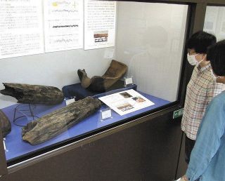 最新の技術で分析、弥生時代たどる　伊東で県埋蔵文化財 巡回展