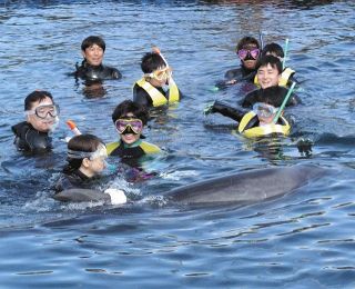 イルカと遊び癒やされて　病気や障害ある子ら、伊東で自然体験