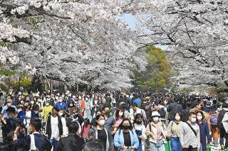 上野公園に花見の人波、密避け通り抜け　宣言解除後、初めての週末